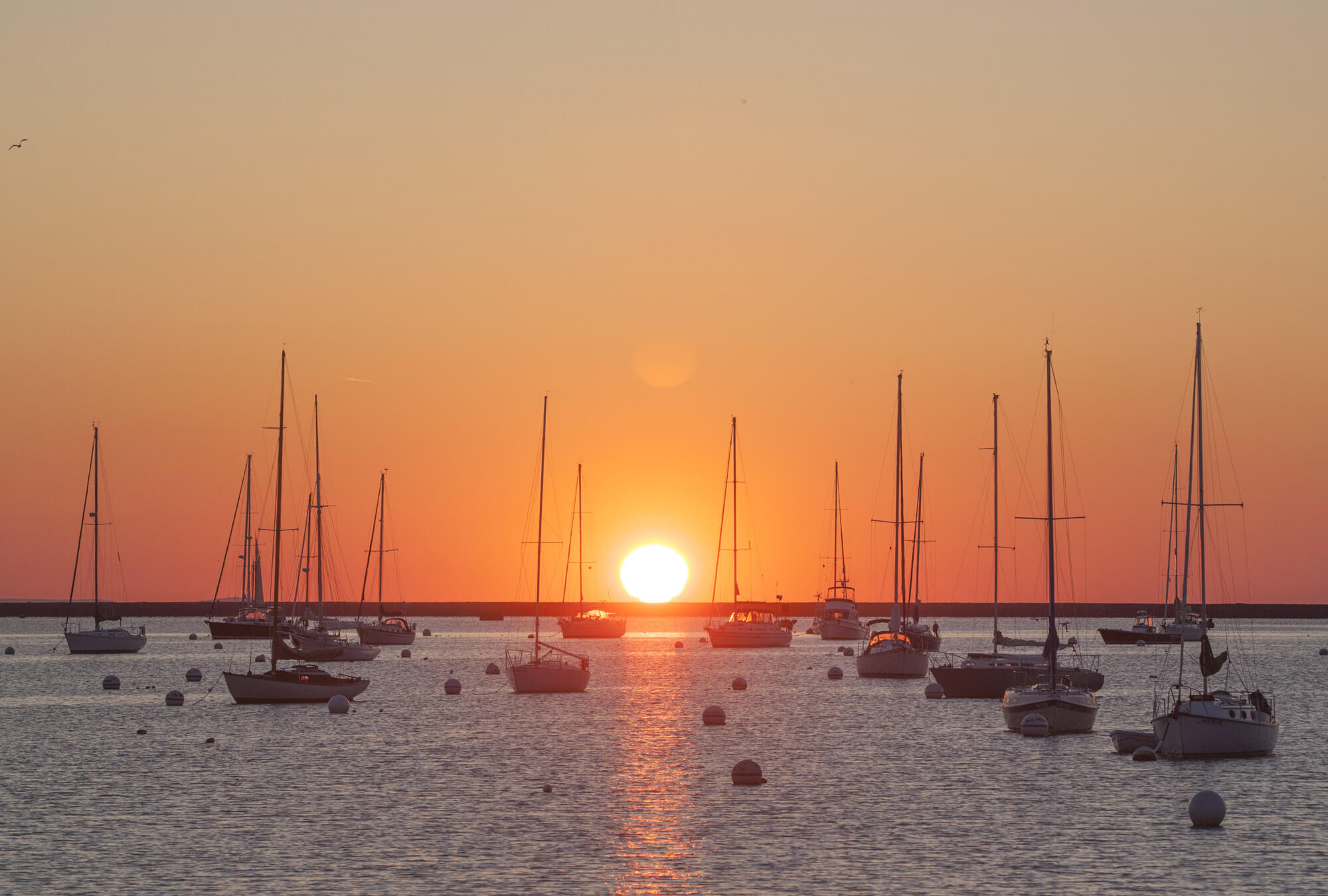 rockland-jd-sunset