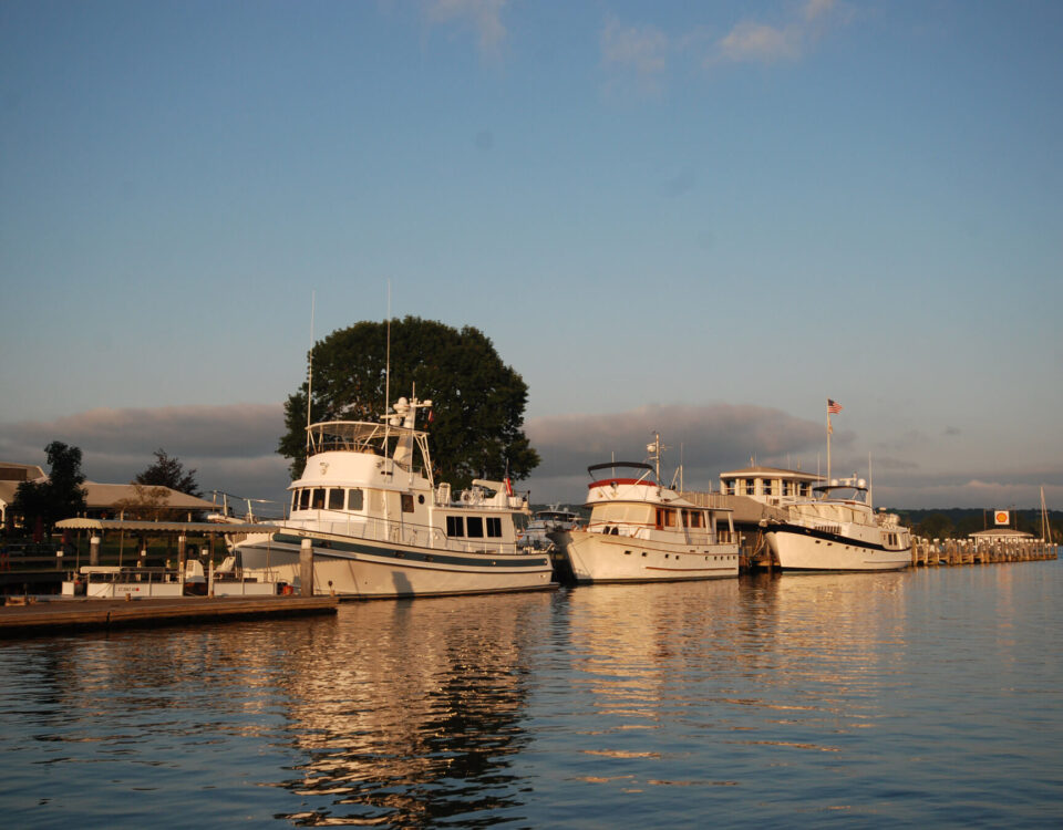 essex-safe-harbor-marina