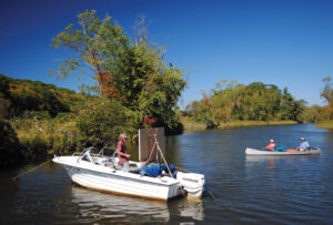 essex-seldon-creek-artist