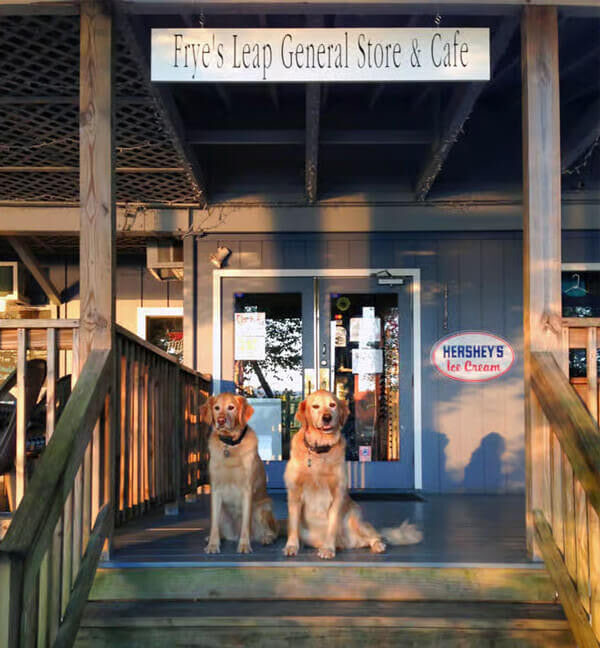 fryes-main-dogs