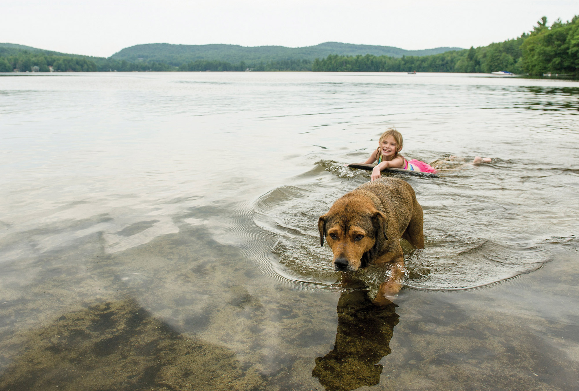 lake-sunapee-girl-and-dog-final