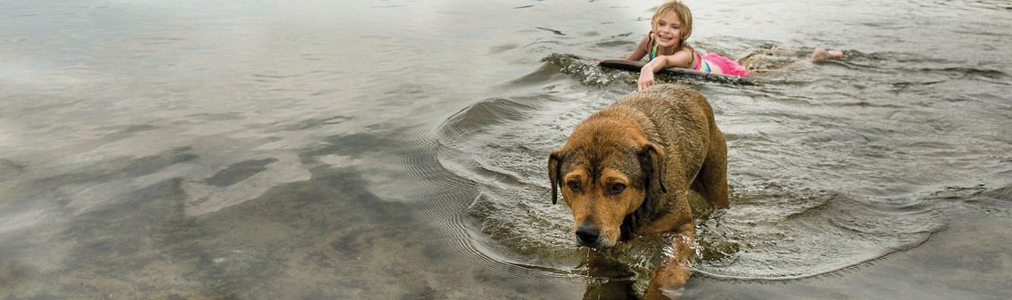 lake-sunapee-homepage-story