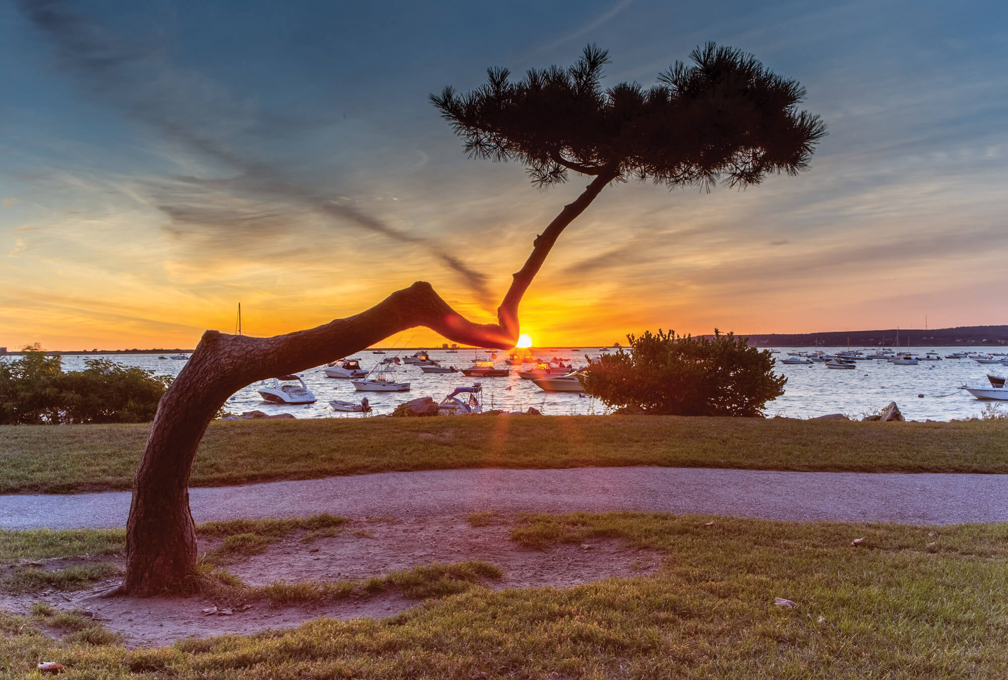 plymouth-pitch-pine