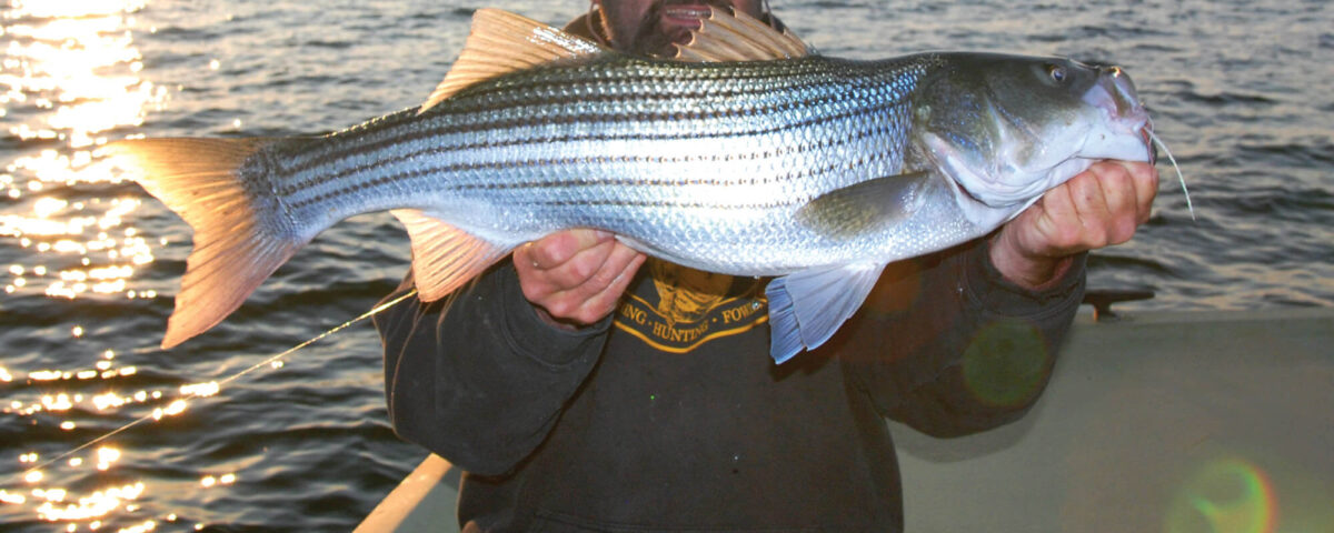 plymouth-fishing-striped-bass