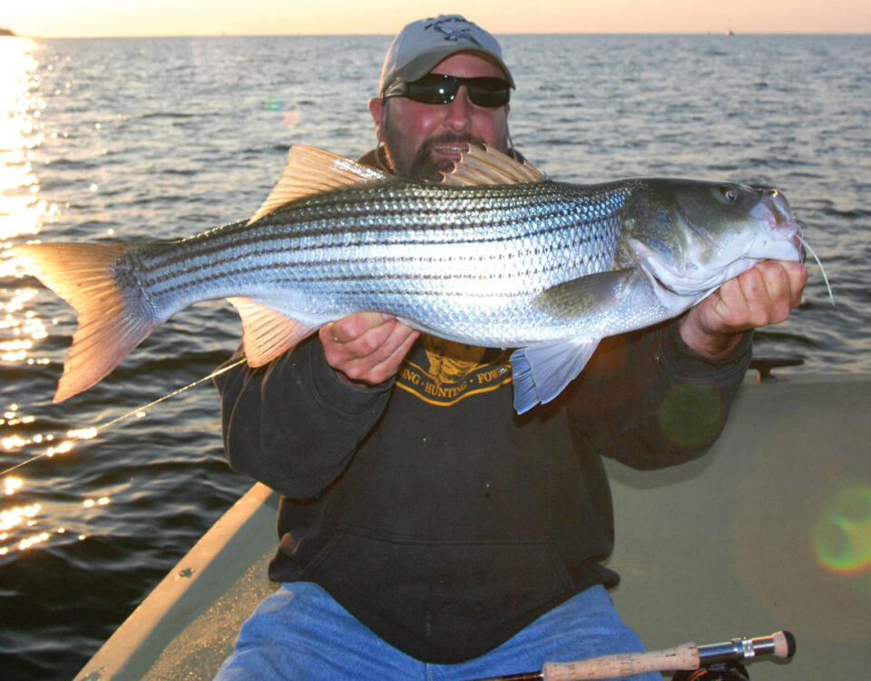plymouth-fishing-striped-bass