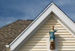 onset-tr-figure-head