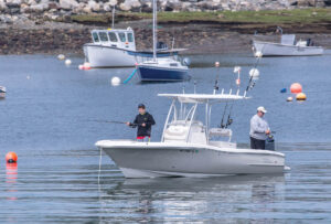 rye-nh-bb-harbor-fishing