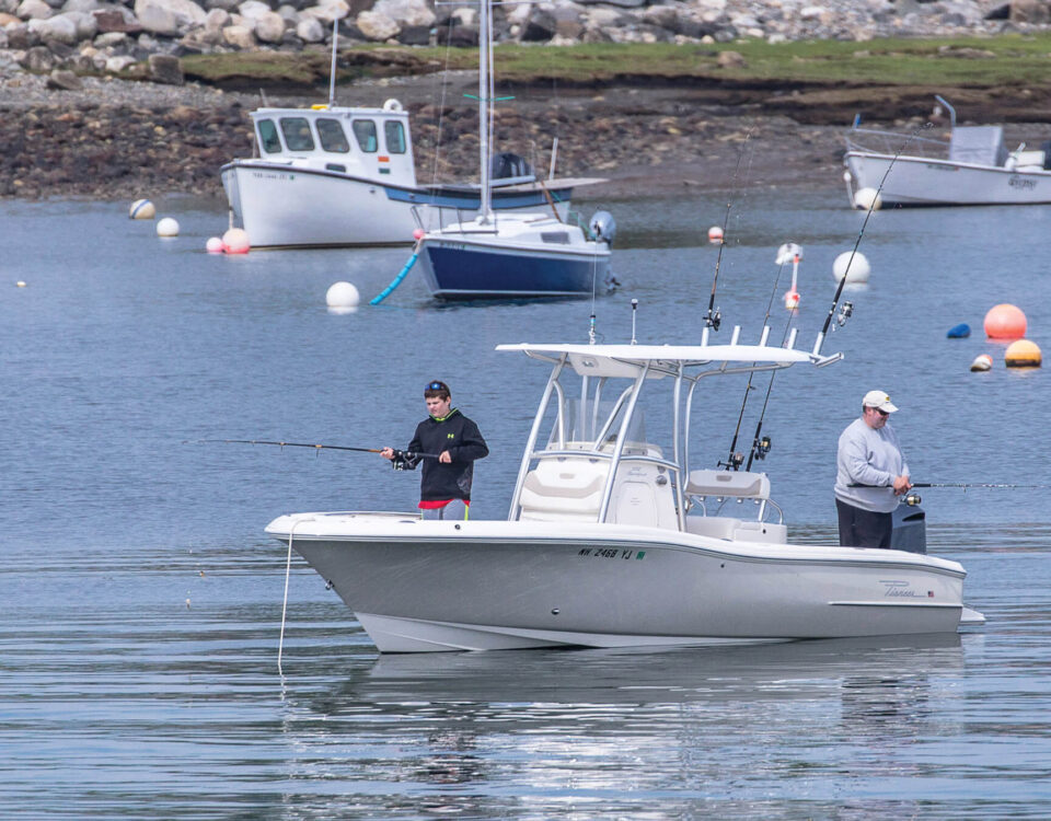 rye-nh-bb-harbor-fishing
