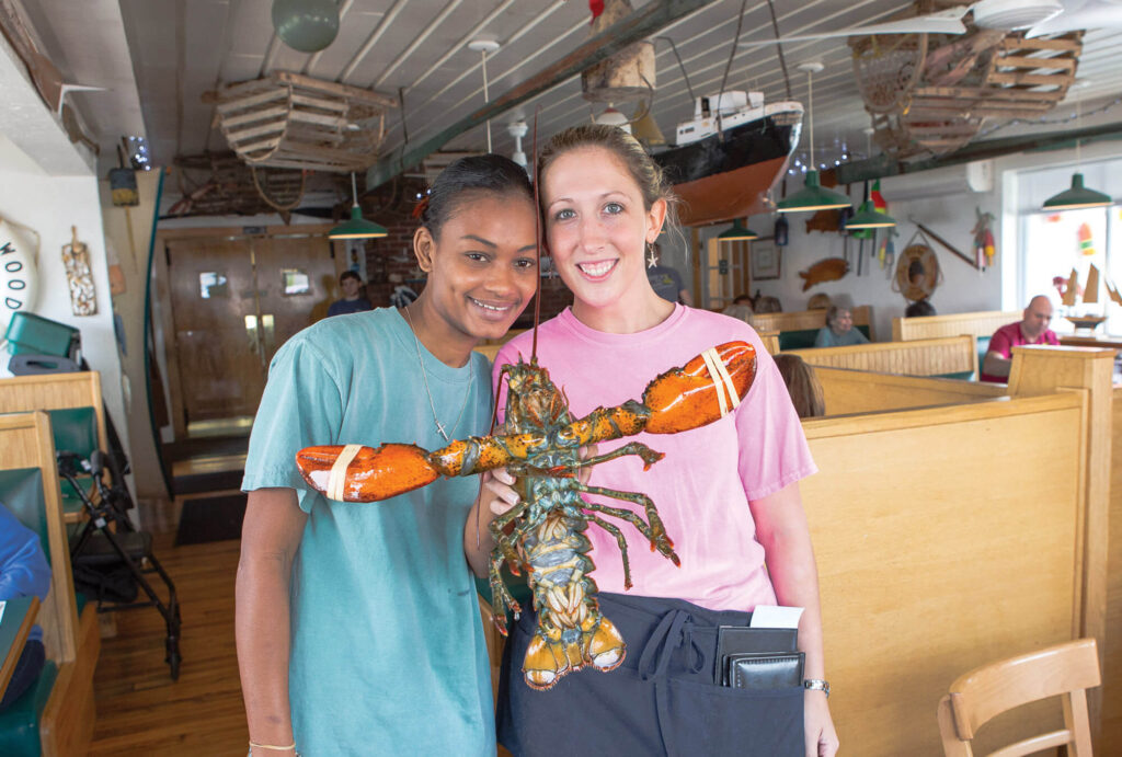 rye-nh-bb-lobster-stretching