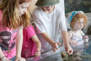 rye-nh-bb-science-center