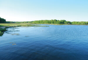stonington-eba-barn-island-refuge
