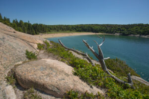 bar-harbor-jd-sand-beach-wood