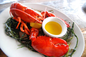 bar-harbor-tr-lobster
