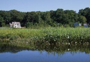 chester-cd-side-creeks