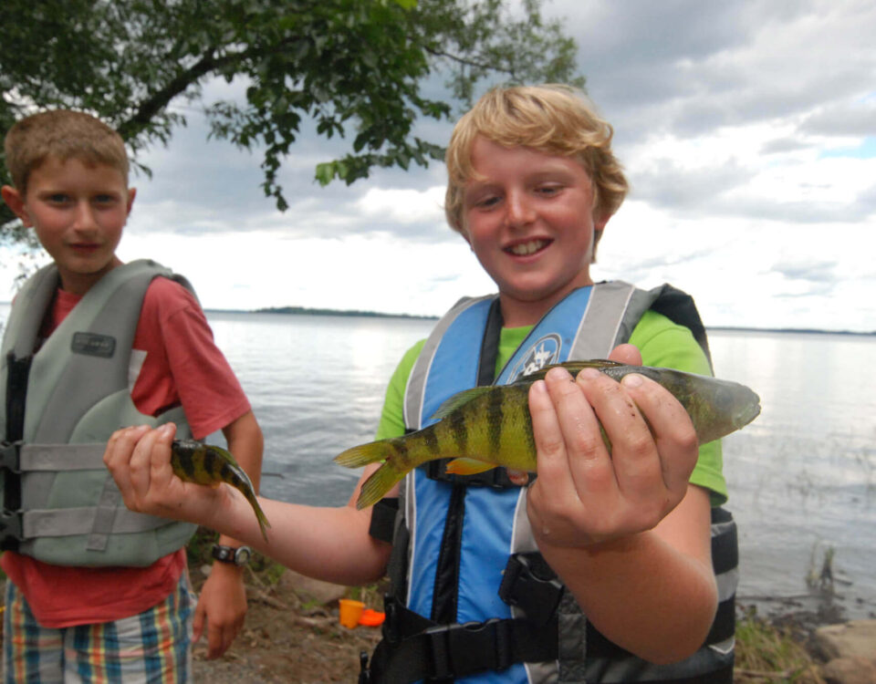 inland-sea-vt-tr-catch-of-the-day