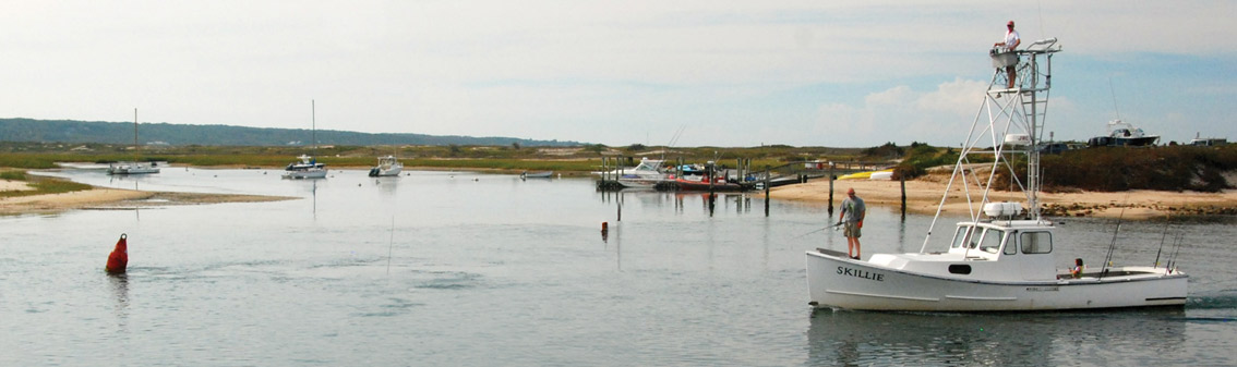 menemsha-tr-homepage-story-1134x336