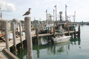 menemsha-tr-working-harbor