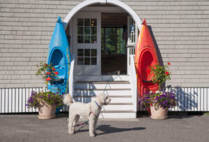 The official greeter outside Kennebunkport Marina's rental office. kennebunk-jd-poodle-power
