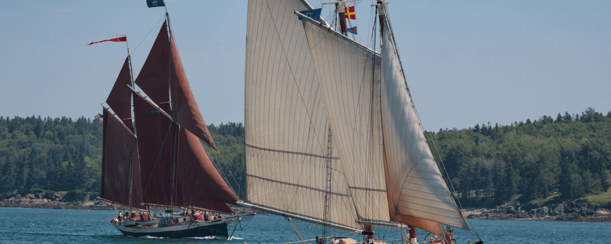 camden-windjammer-festival-angelique-j-and-e-riggin