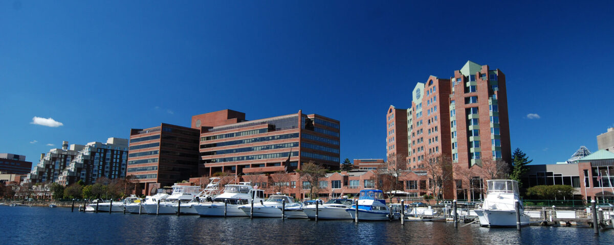 charles-river-toddler-rescue-sonesta-tr