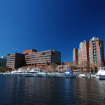 charles-river-toddler-rescue-sonesta-tr