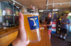 nantucket-tr-cisco-brewers