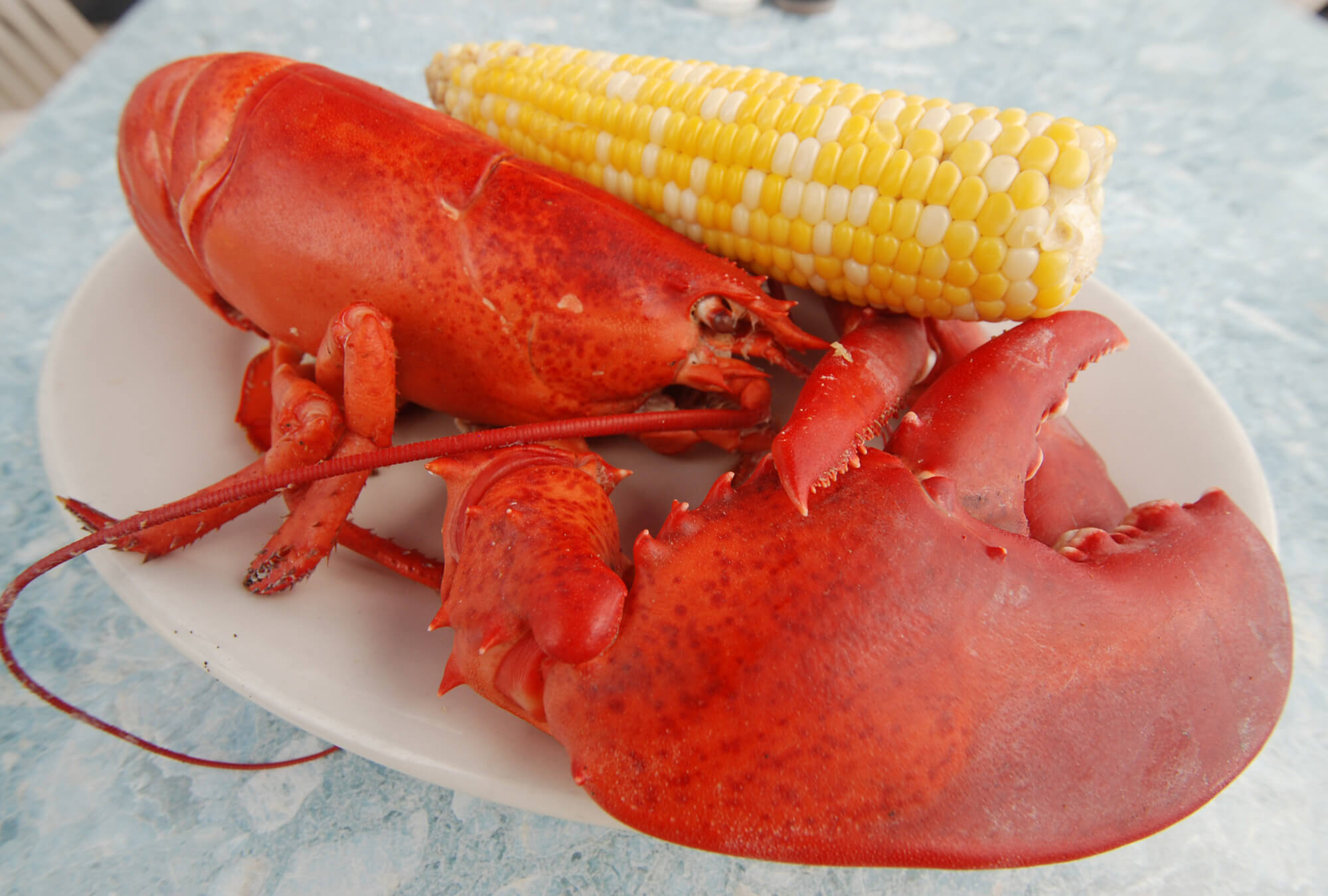 bath-tr-lobster-kennebec-river-tavern