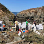 boston-harbor-cleanup-group-places-trash-in-bags