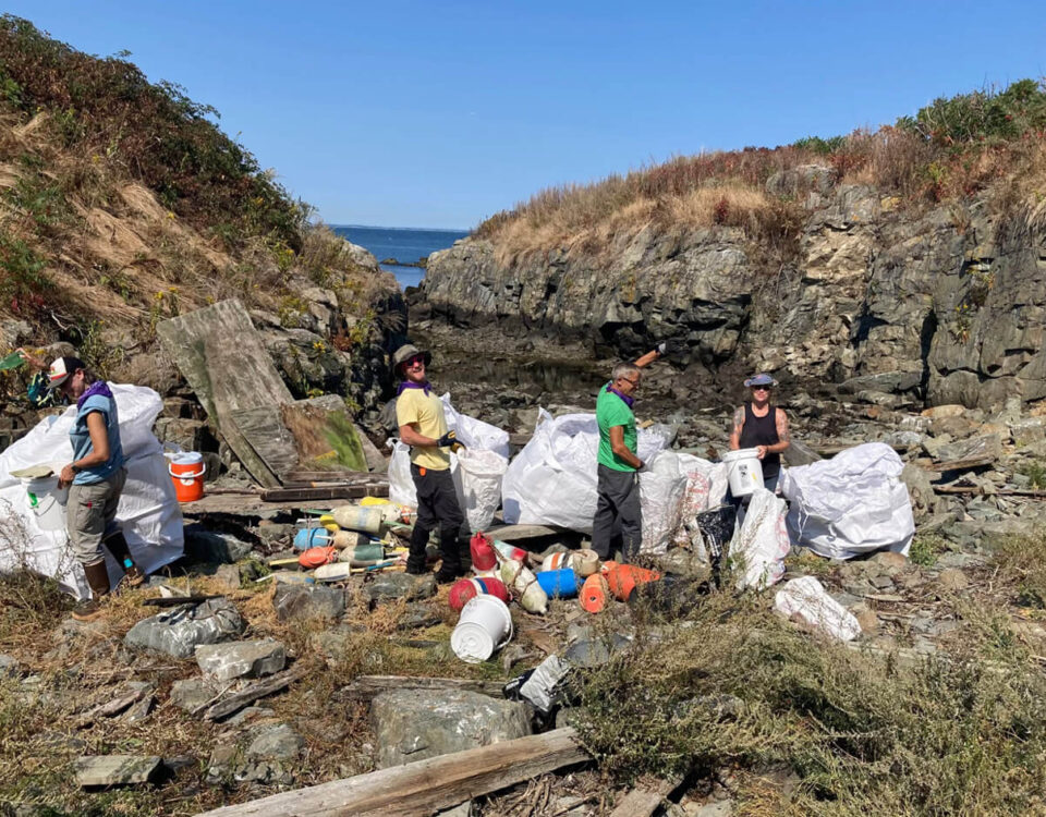 boston-harbor-cleanup-group-places-trash-in-bags