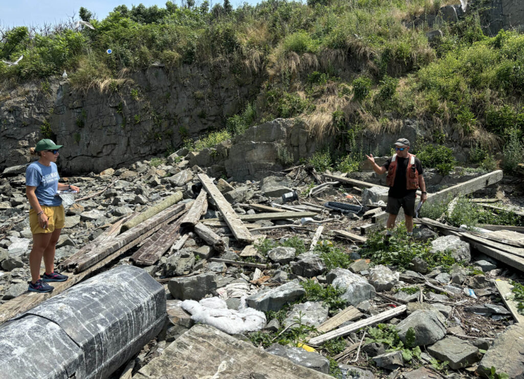 boston-harbor-cleanup-wood-piles