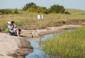 Chatham_TR_Secluded-Beaching_2000x1350 Chatham TR Secluded Beaching 2000x1350