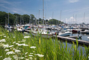 Boats of every size, type and description can be found in protected Milford Harbor. Photo/Caryn B. Davis milford-cd-milford-harbor
