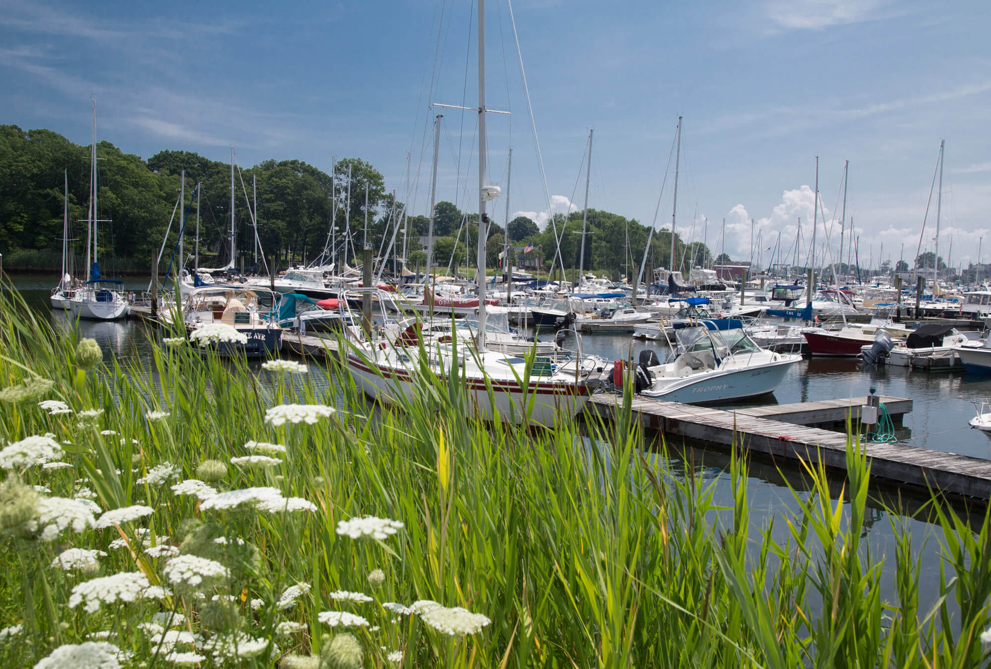 milford-cd-milford-harbor