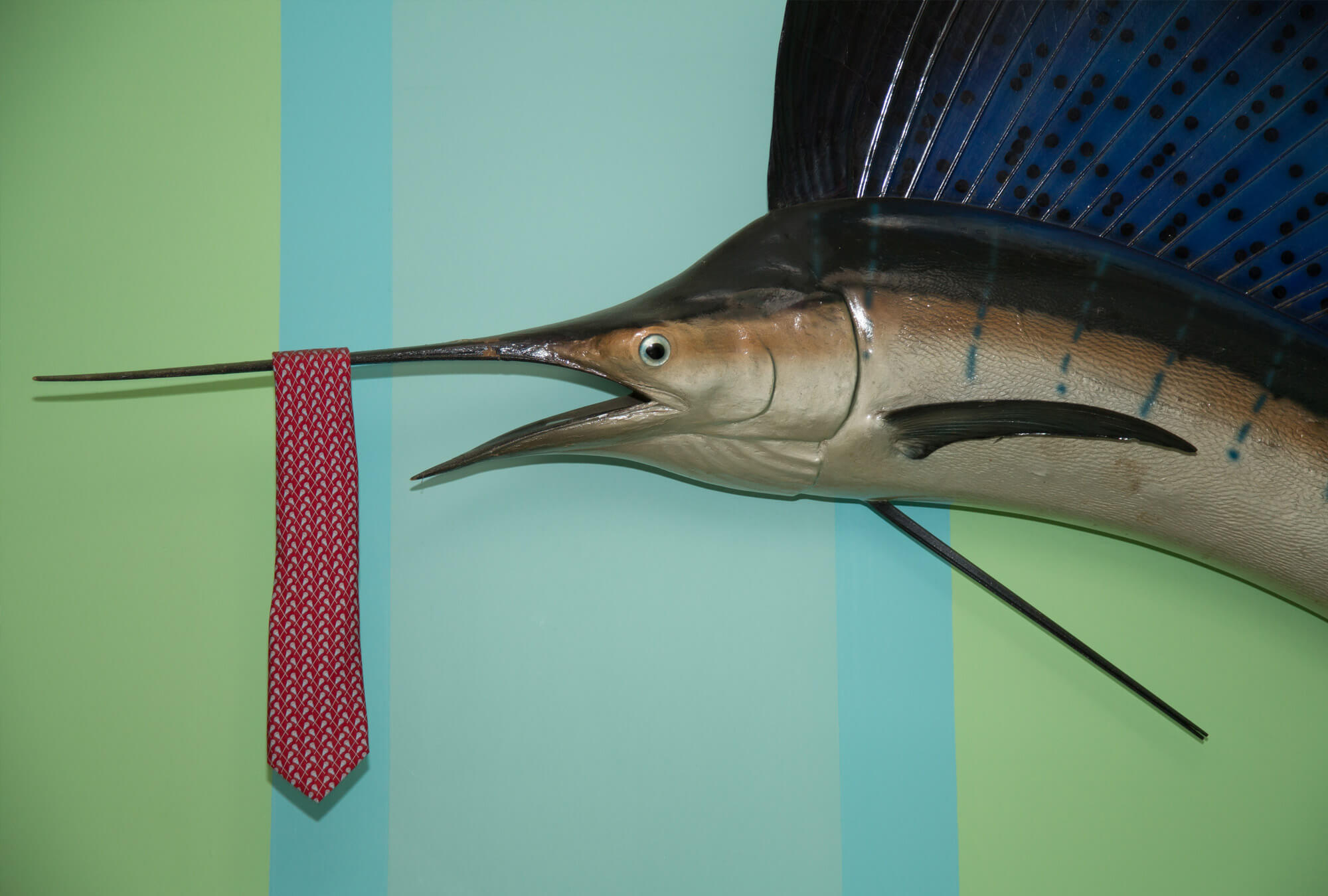 milford-cd-tie-rack