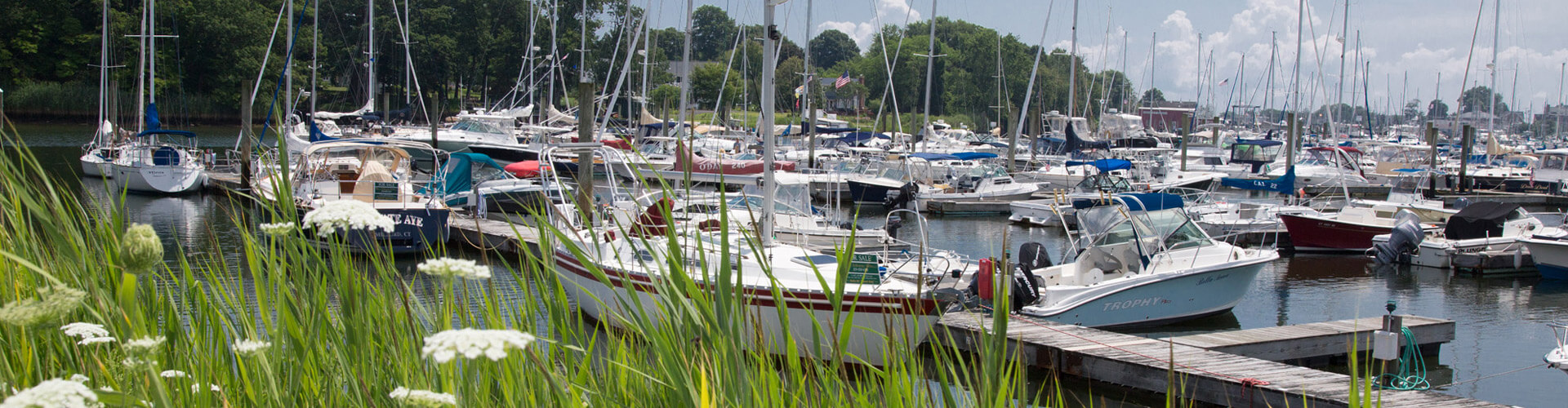 milford-cd-top-image-1920x500