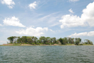 Charles Island is a well known landmark for boaters. Photo/Tom Richardson milford-tr-charles-island