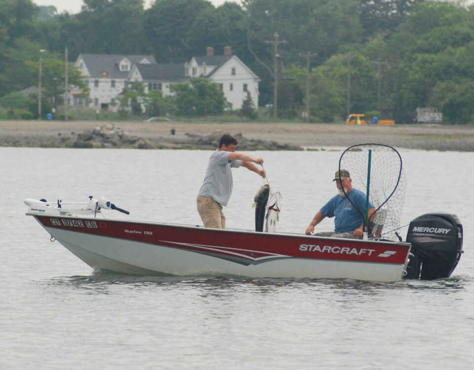 milford-tr-striper-fishing