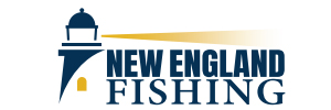 NEF Logo 300x100