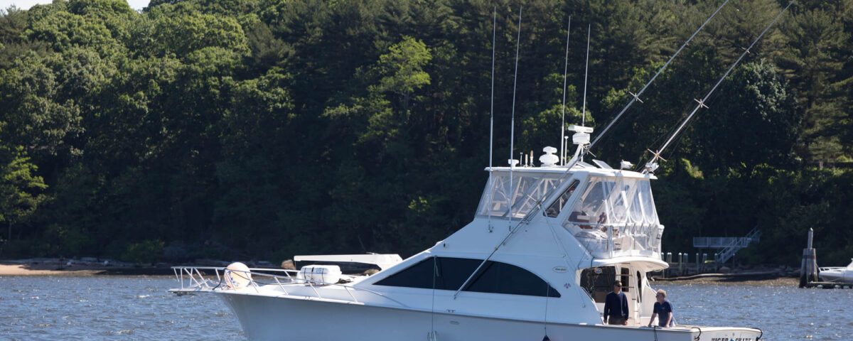 old-saybrook-cbd-ct-river-tiger-shark