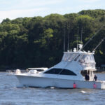 old-saybrook-cbd-ct-river-tiger-shark