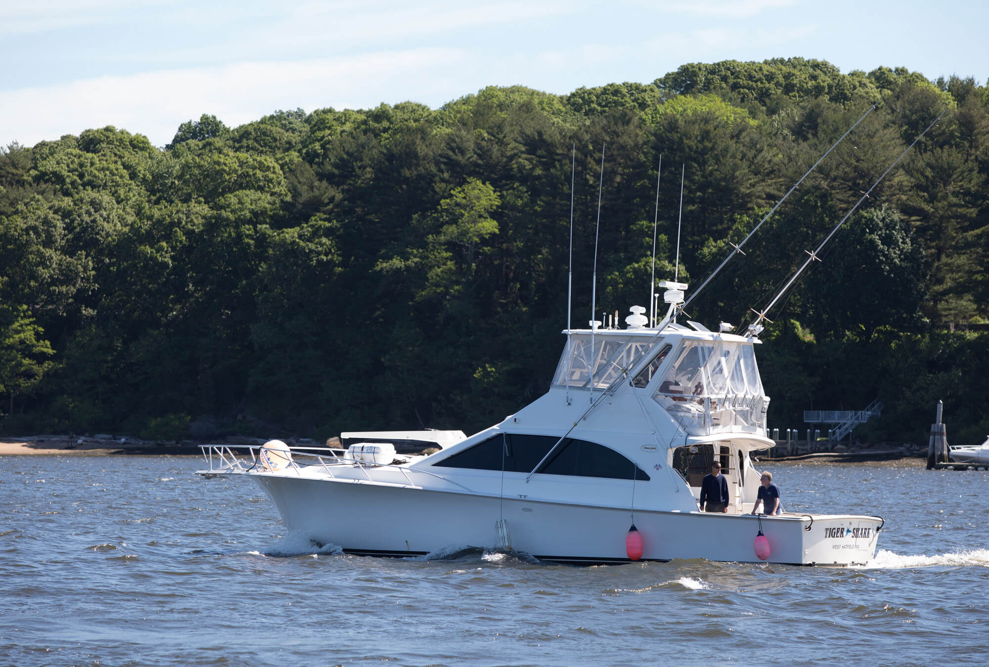 old-saybrook-cbd-ct-river-tiger-shark