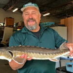 sturgeon-kieffer-photo-sam-banas-ne-water-science-ctr
