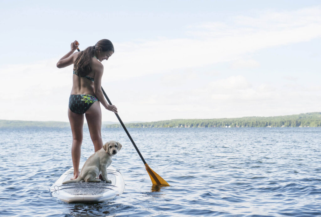winnisquam-nh-kb-dog-on-paddleboard