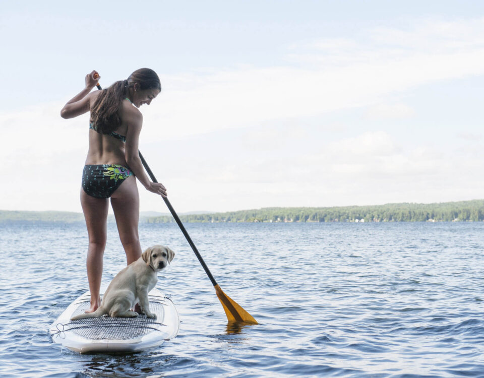 winnisquam-nh-kb-dog-on-paddleboard