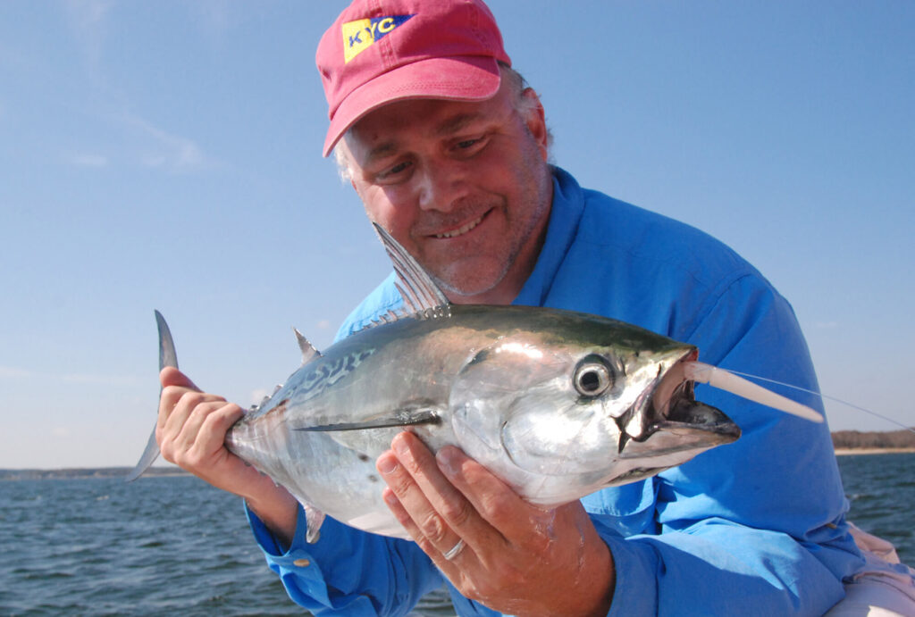 MA Sets New Limits for Atlantic Bonito and False Albacore