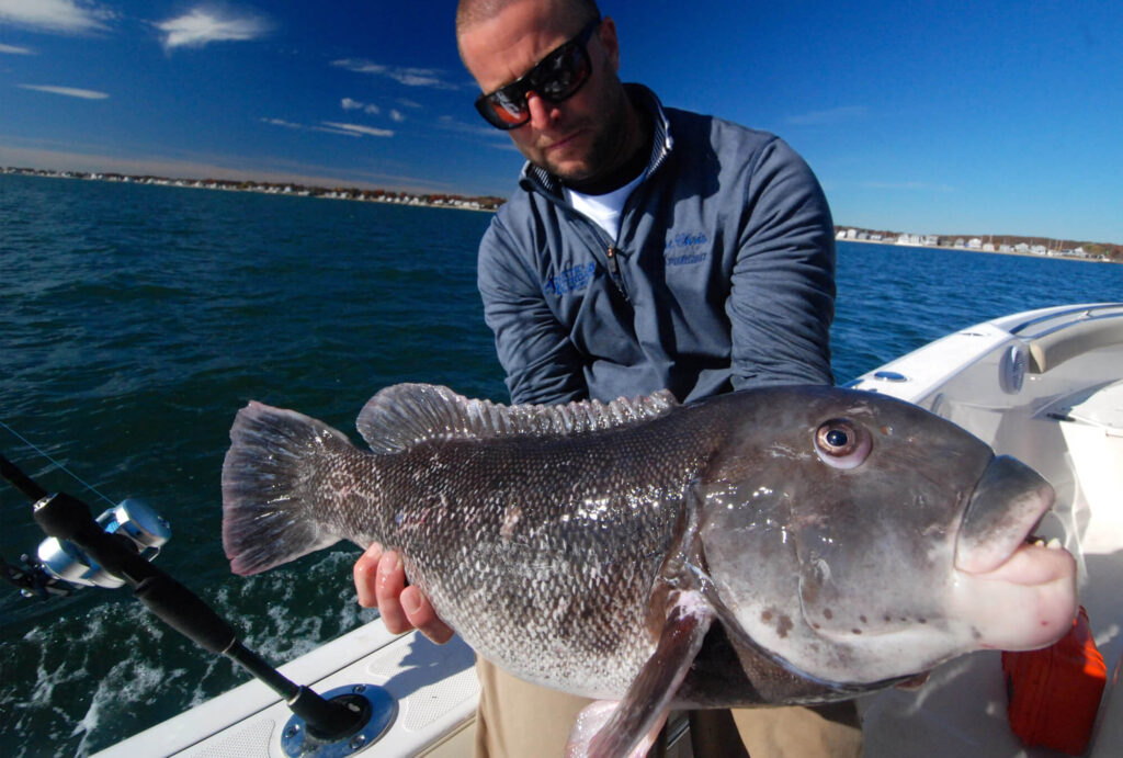 fall-tautog-tr-man-in-blue