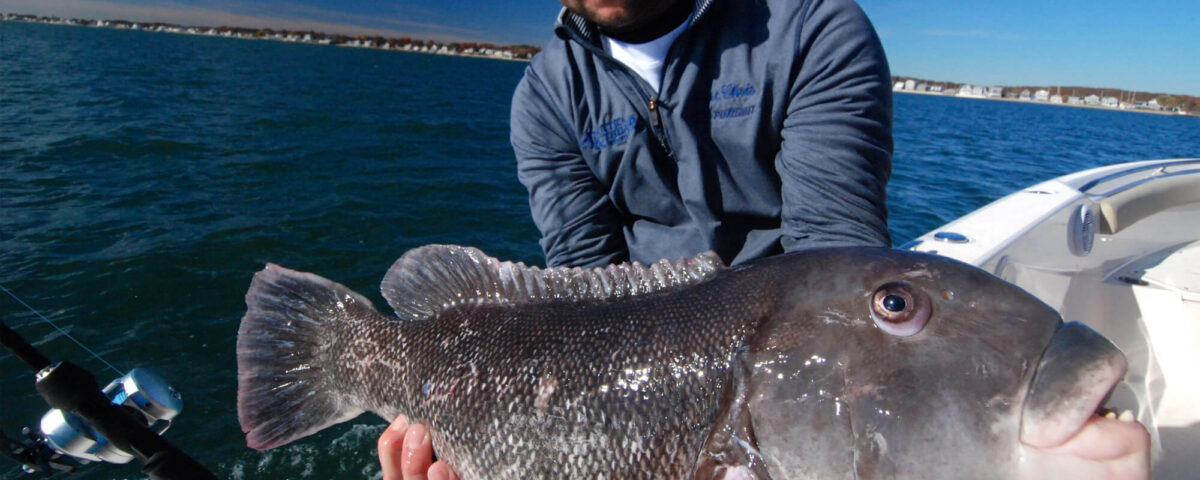 fall-tautog-tr-man-in-blue