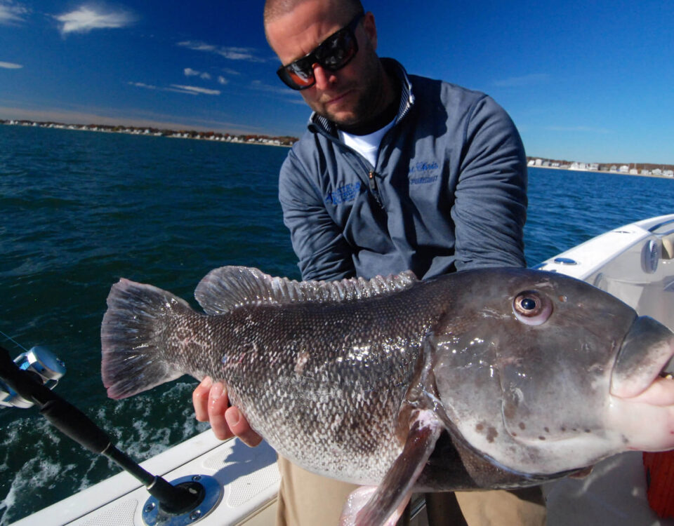 fall-tautog-tr-man-in-blue