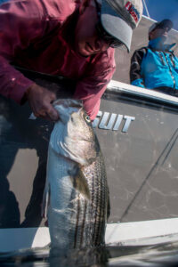 hyannis-fishing-neb-tom-richardson-striper-catch