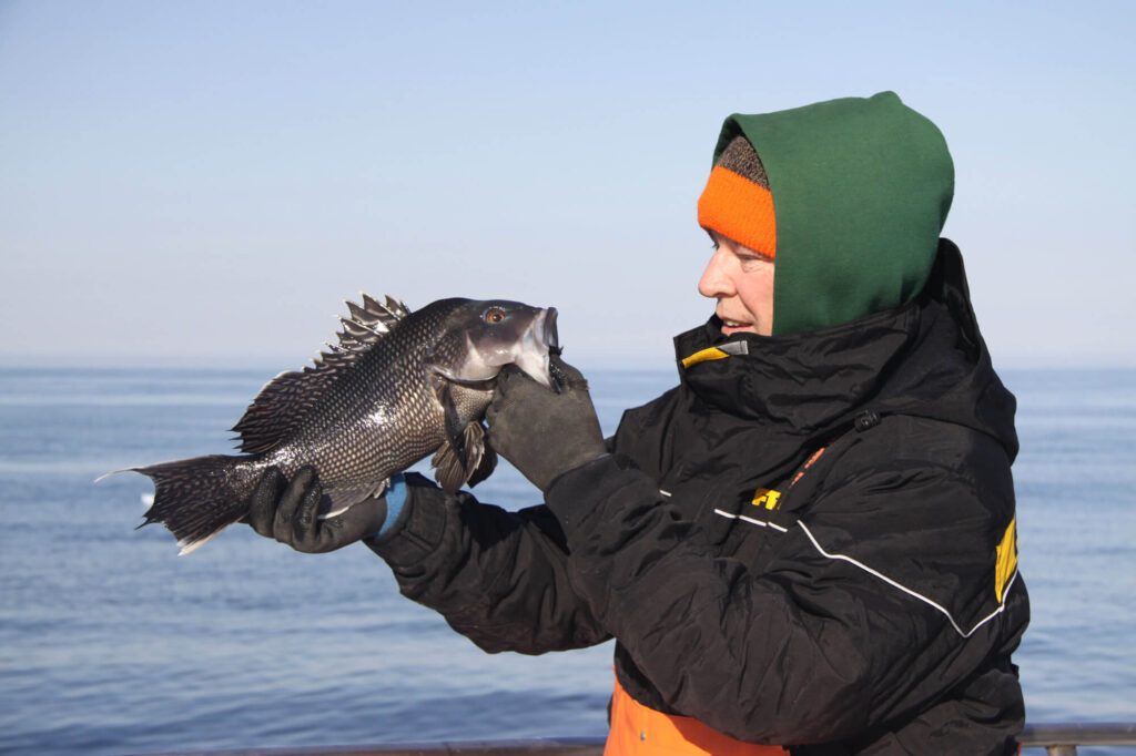 hyannis-fishing-tr-sea-bass-tom-schlichter